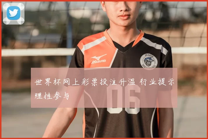 世界杯网上彩票投注升温 行业提示理性参与