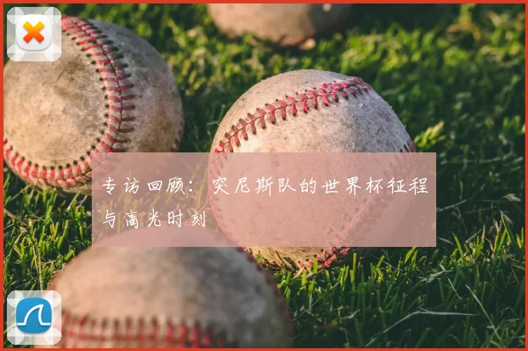 专访回顾：突尼斯队的世界杯征程与高光时刻