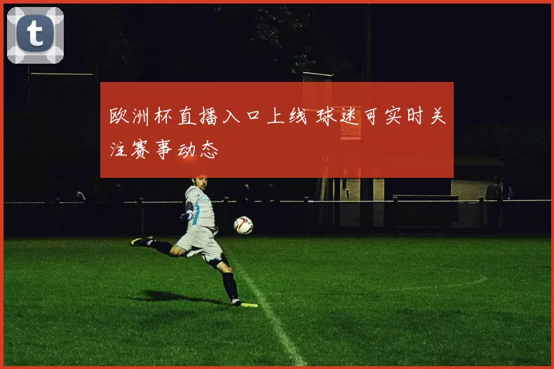 欧洲杯直播入口上线 球迷可实时关注赛事动态