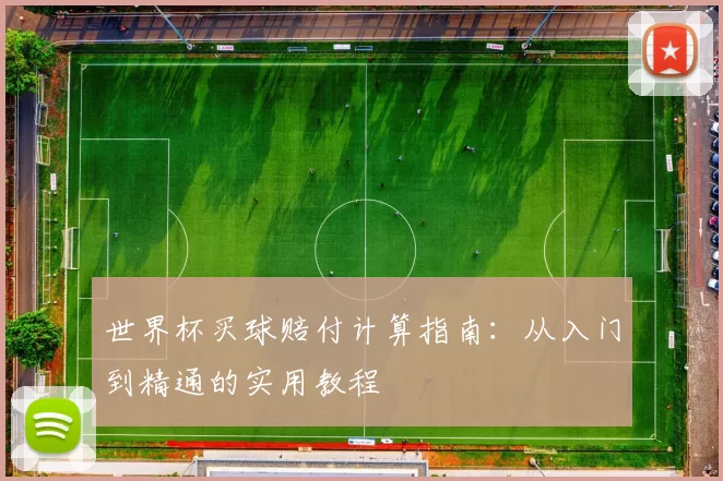世界杯买球赔付计算指南：从入门到精通的实用教程